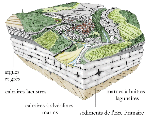 minerve_geo